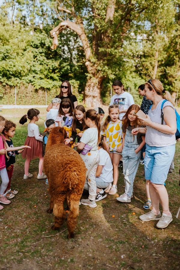 Wycieczka z alpaką